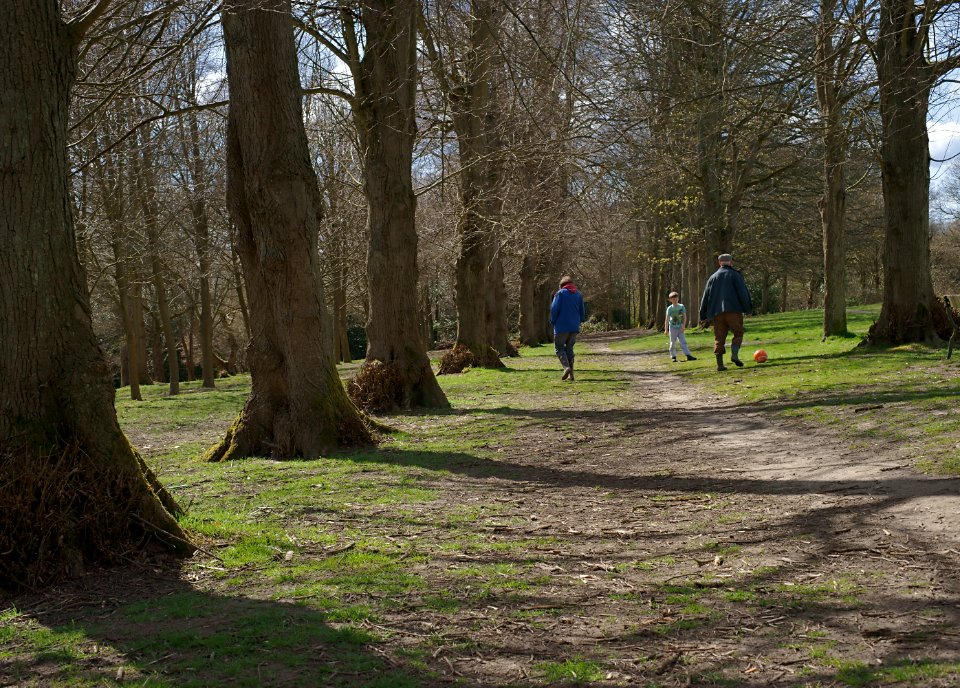 278 kent Tunbridge Wells Common 