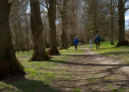 278 kent Tunbridge Wells Common photo