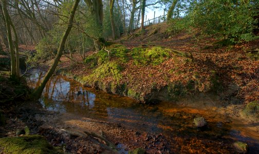 159 sussex Ashdown Forest photo