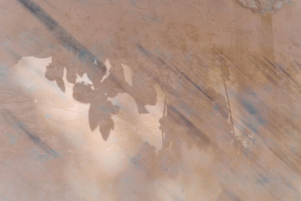 298 vilnius Shadow Art 
