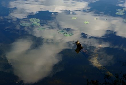 264 vilnius Balžis Lake Reflection photo