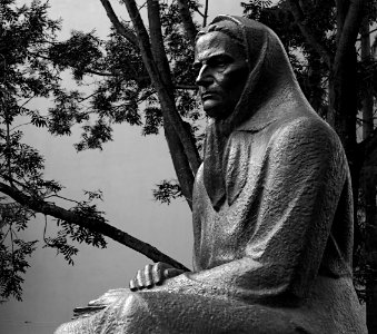 265 vilnius Žemaitė Statue photo