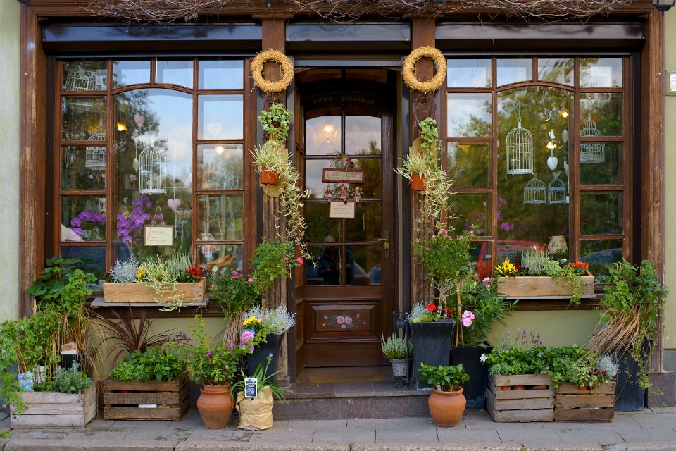 263 vilnius Plants for Sale 
