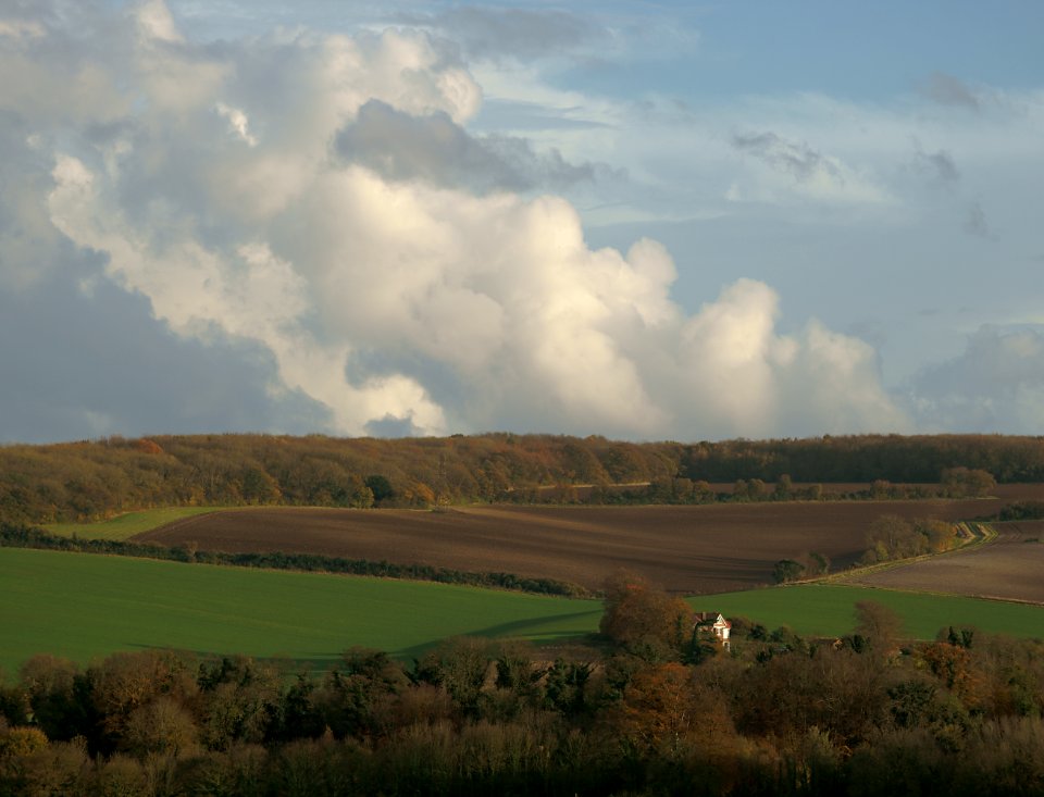 224 kent Darenth Valley 