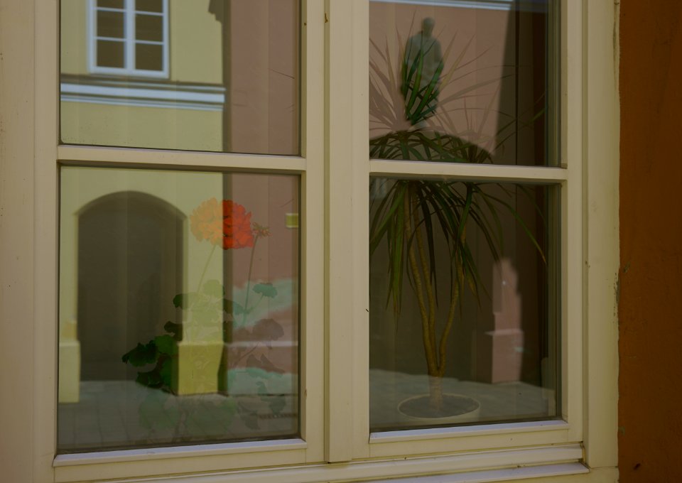 205 vilnius Window Art 