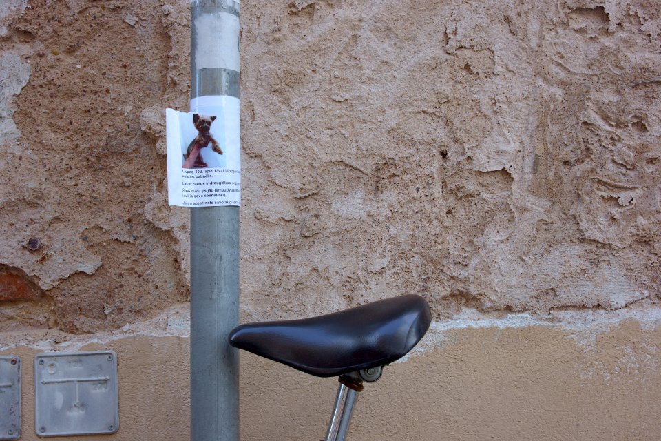 151 vilnius Faithful bike waits for dog's return 