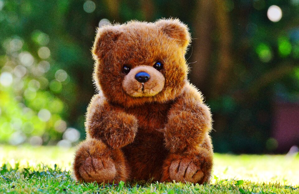 Stuffed animal teddy bear brown bear photo