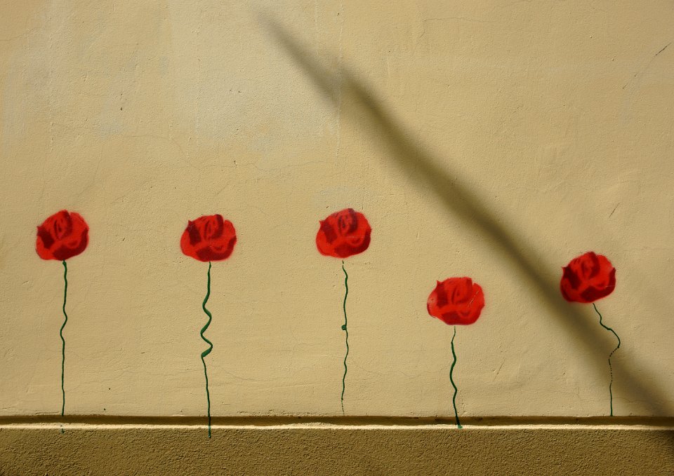142 vilnius Wall Flowers 