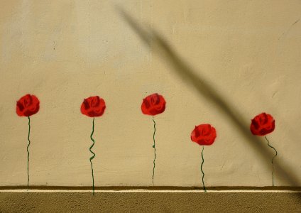 142 vilnius Wall Flowers 