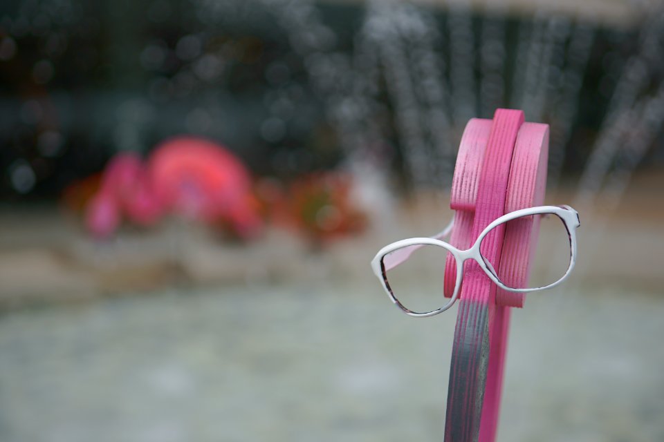 131 vilnius Flamingo Park 