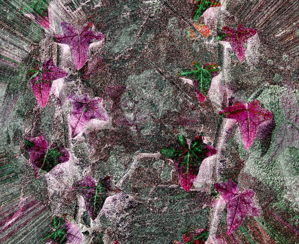 117 leaves etc. Ivy on Gravestone 