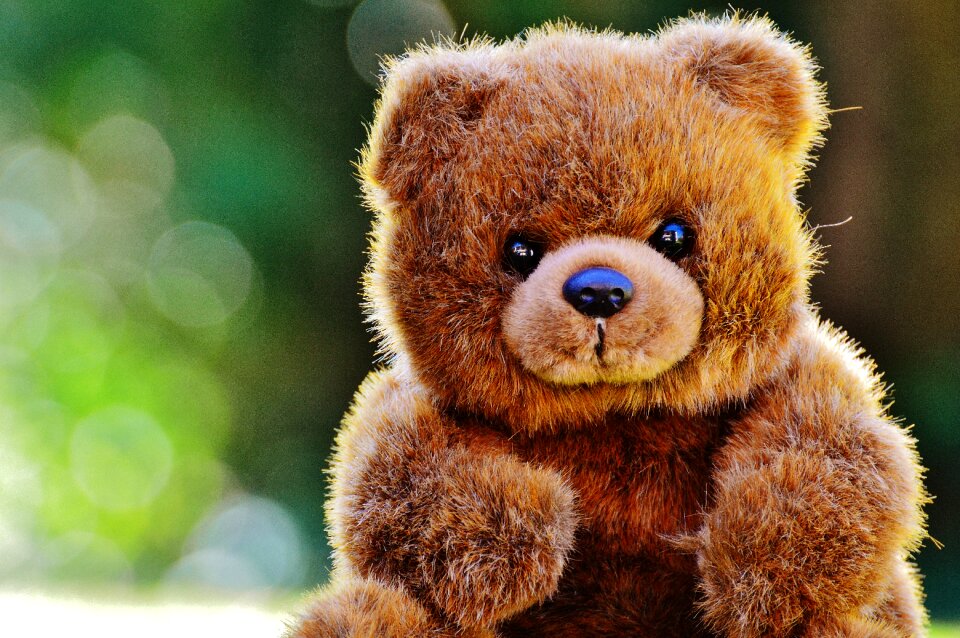 Stuffed animal teddy bear brown bear