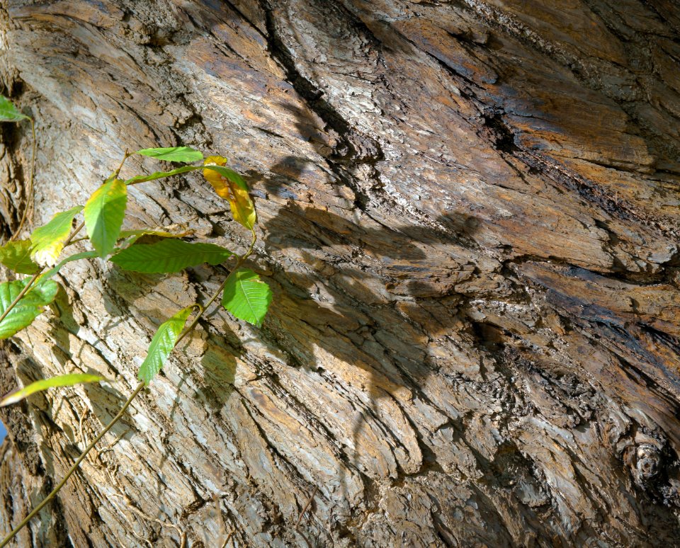 108 leaves Footscray Meadows 
