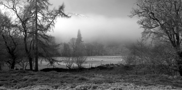 51 highlands Glen Arkaig black and white photo
