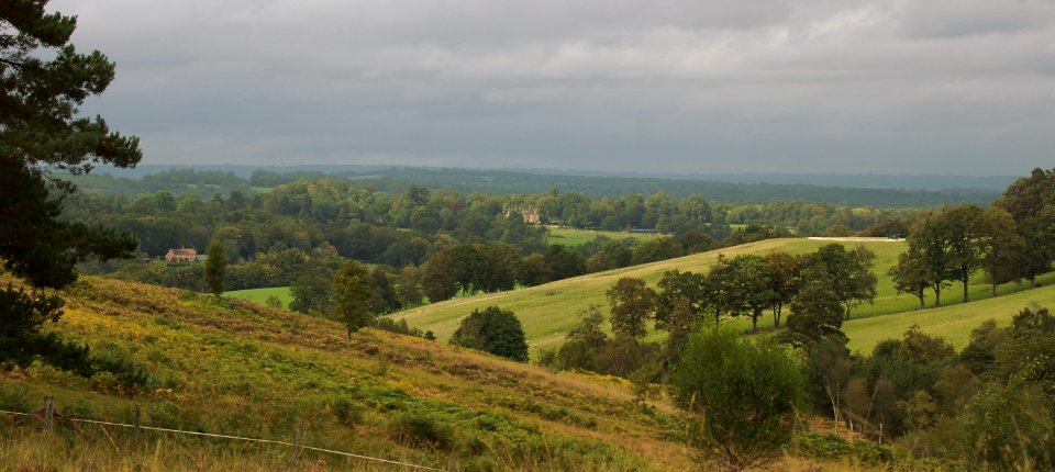 150 sussex Holly Hill 