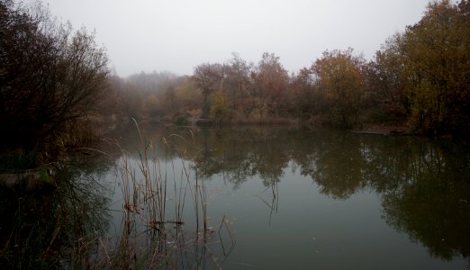 146 kent Shorne Woods Country Park 