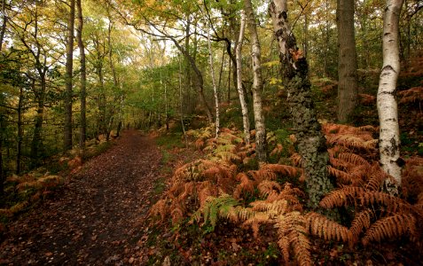 136 kent Oldbury Hill Fort 