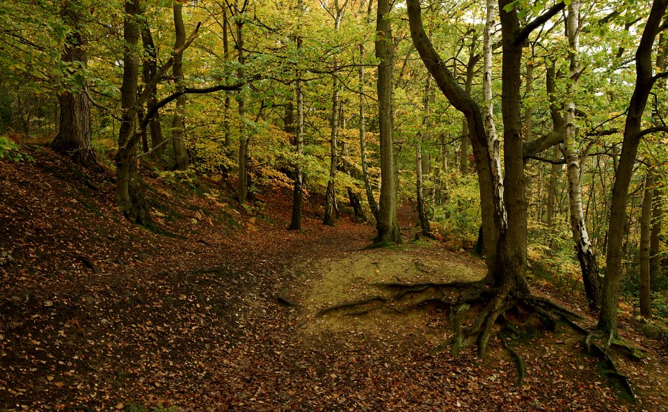 124 kent Oldbury Hill Fort 