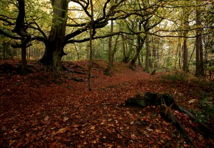 90 kent Oldbury Hill Fort photo