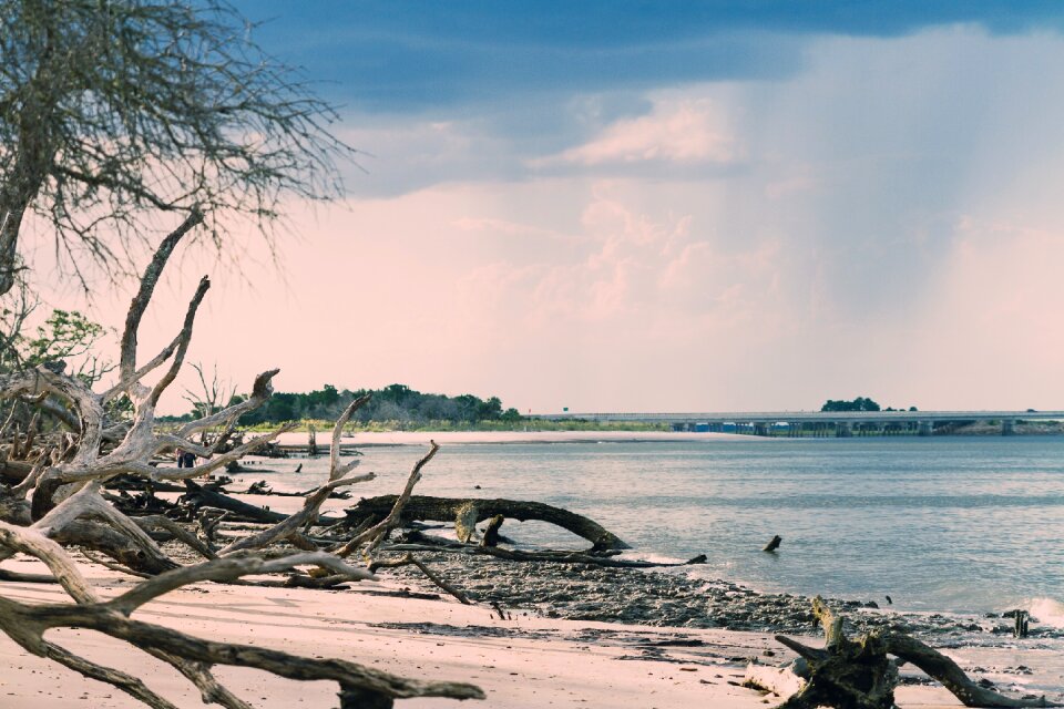 Water landscape shore