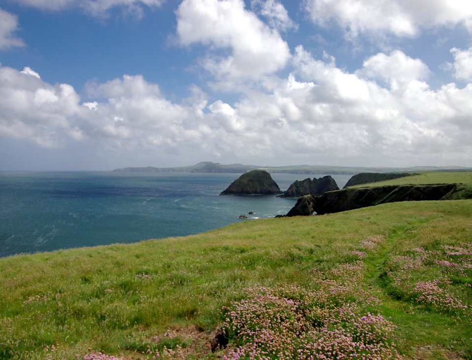 09 pembrokeshire Ynys Deullyn 