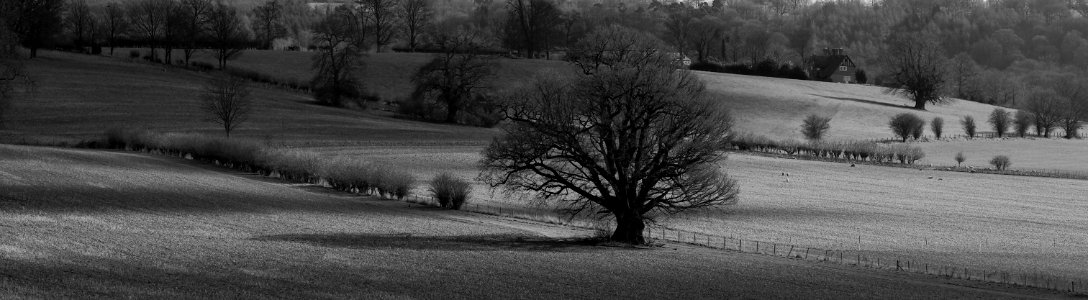 75 kent Penshurst Park 