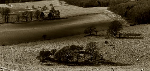 140 south downs Findon photo