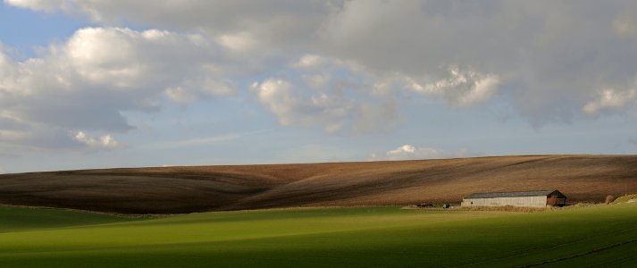138 south downs Rathfinny Farm 
