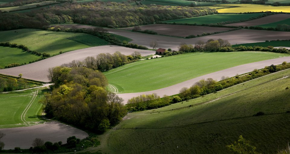 137 south downs From Firle Beacon photo