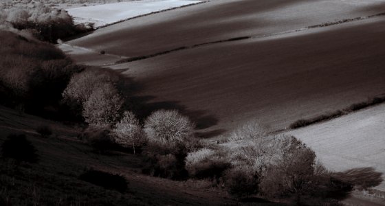 44 south downs Charleston Bottom bw photo