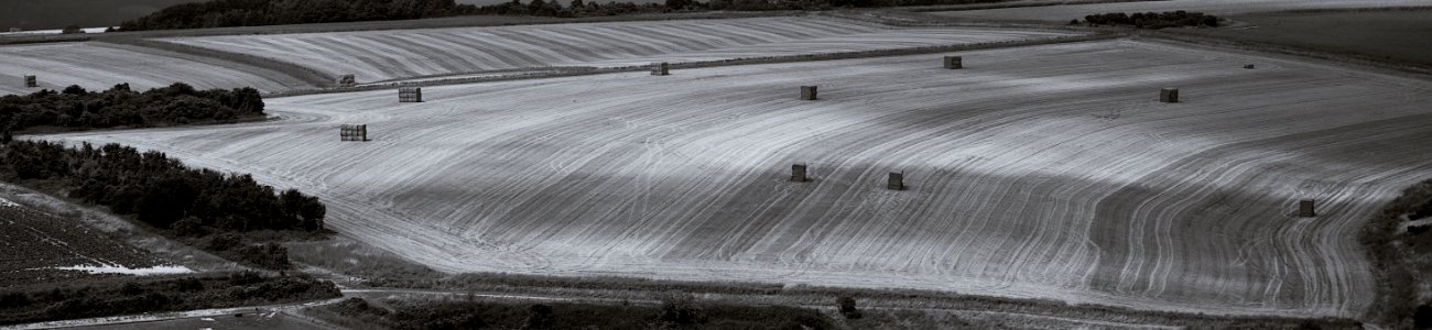 136 south downs Wepham Down photo