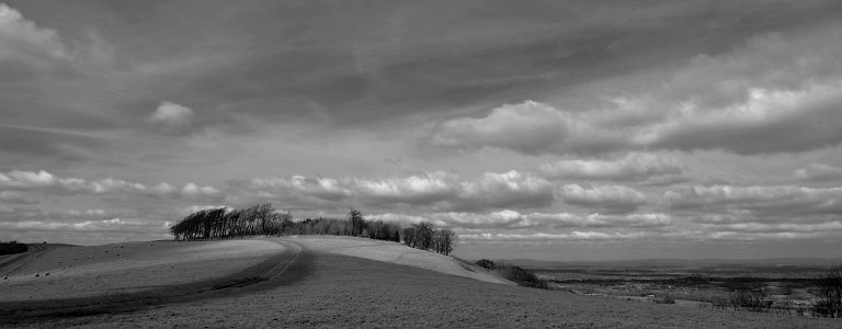 131 south downs Chanctonbury Ring photo