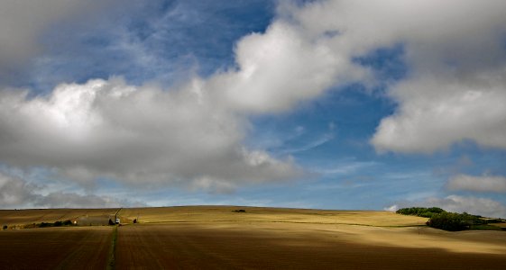 130 south downs Rathfinny Farm 