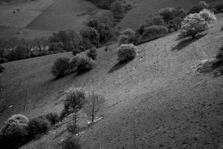 129 south downs Chantry Hill photo