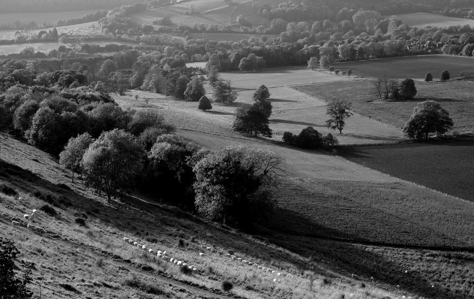 117 south downs Findon 