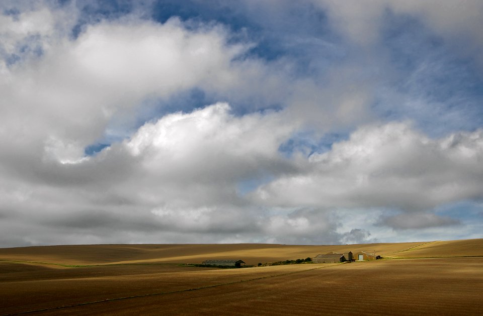 122 south downs Rathfinny Farm 
