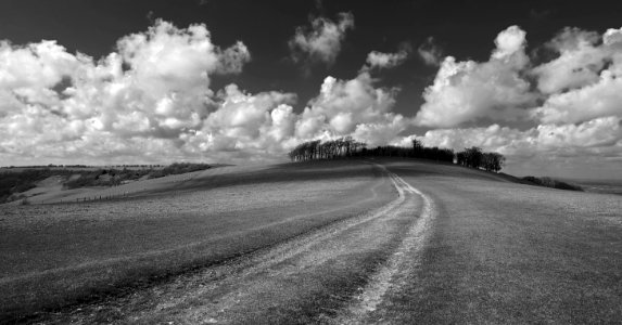 123 south downs Chanctonbury Ring 