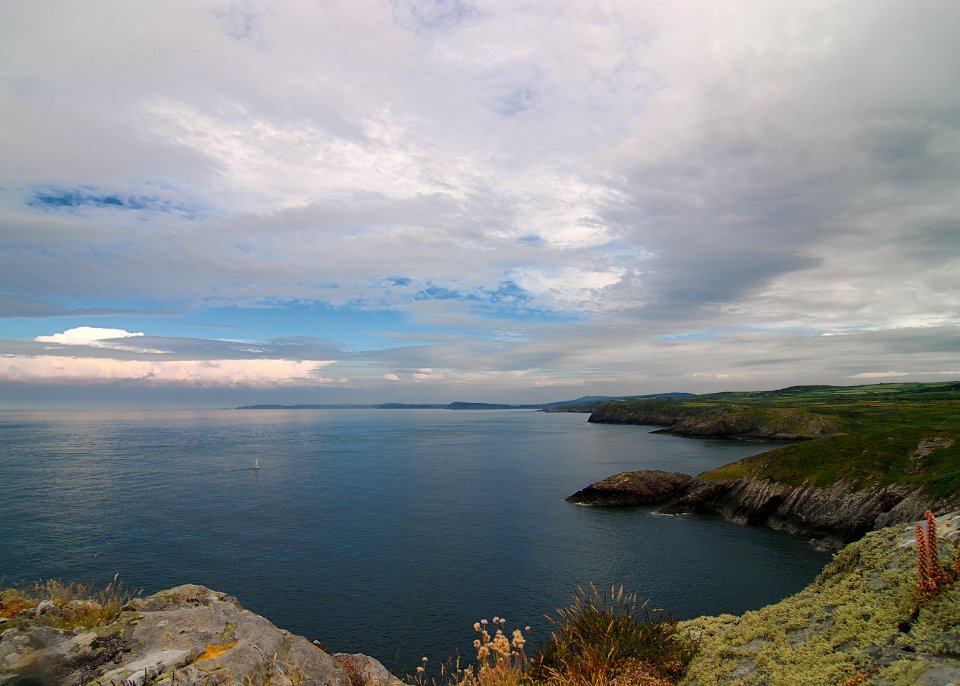 38 pembrokeshire Cardigan Bay 
