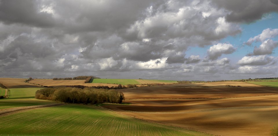 99 south downs Springhead Hill 
