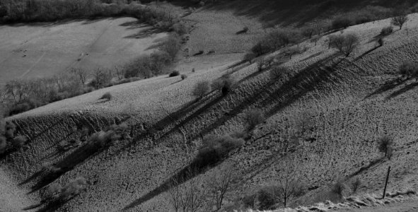 98 south downs Chantry Hill photo