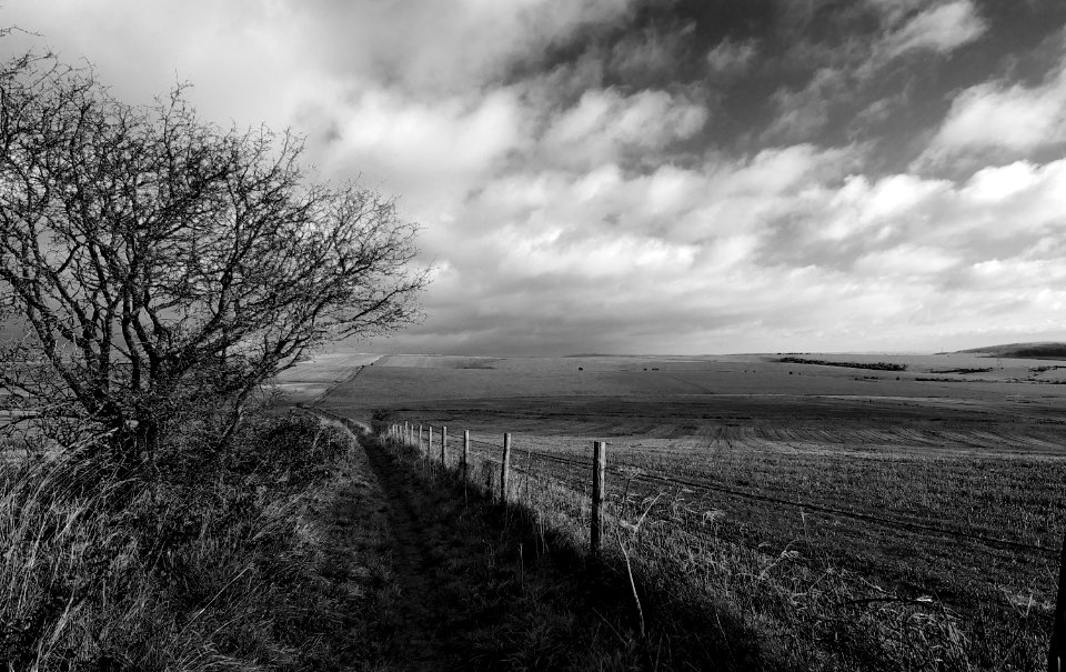 95 south downs Canada Bottom 