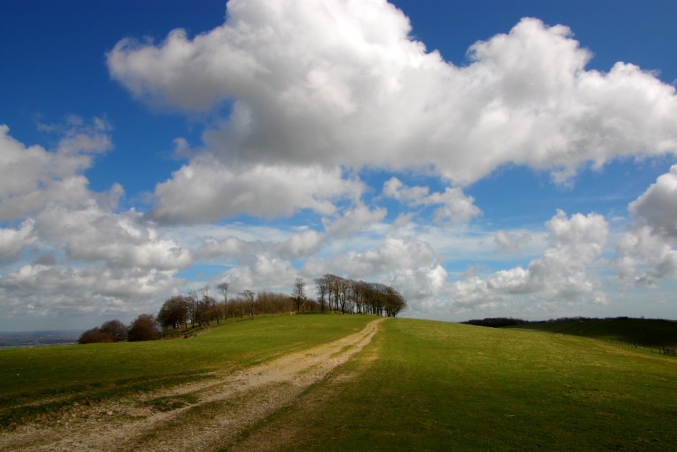 94 South Downs National Park 