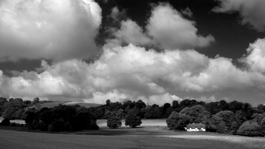 38 dorset Up Cerne 