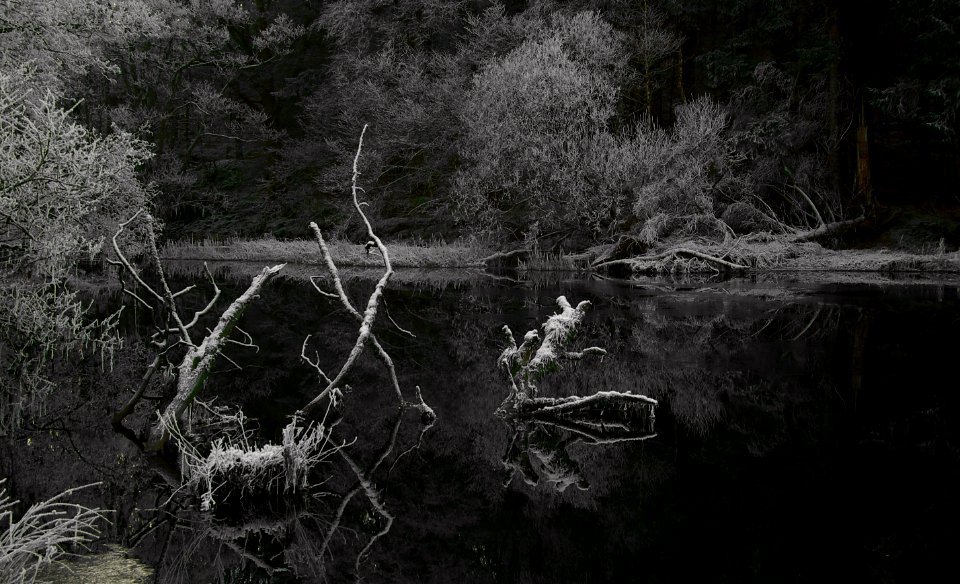 31 lake district River Brathay photo