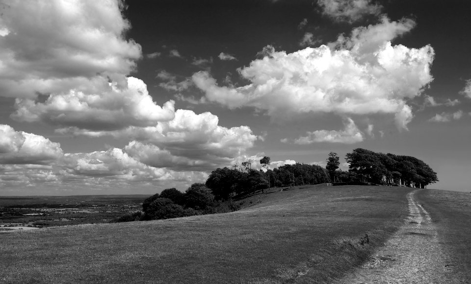 84 south downs Chanctonbury Ring 