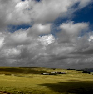 70 south downs Rathfinny Farm photo