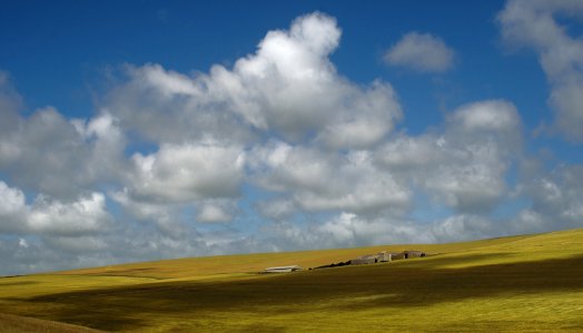 65 south downs Rathfinny Farm photo