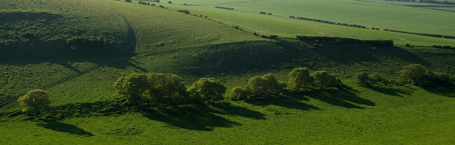 59 south downs Beddingham Hill photo