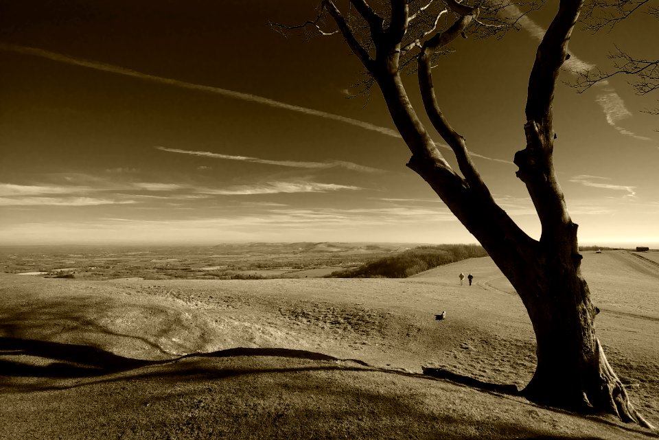 60 south downs Chanctonbury Ring 