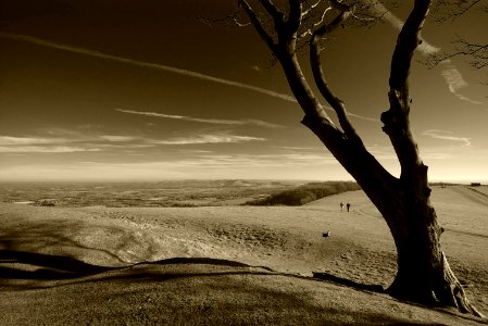 60 south downs Chanctonbury Ring photo